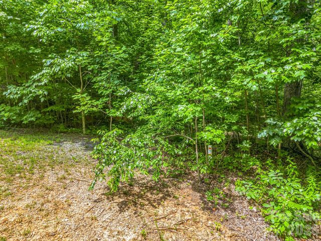 Lot 29 Matho Trace 29, Lake Lure, NC 28746
