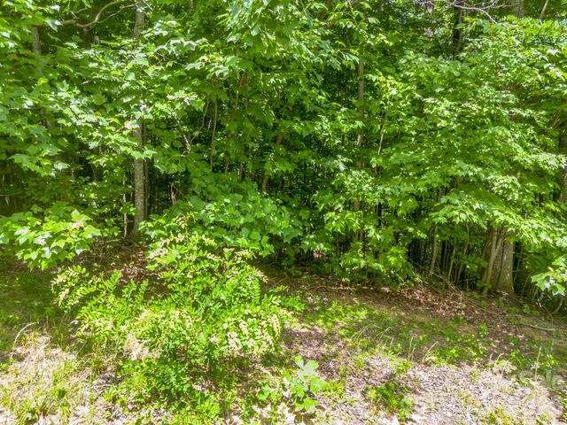 Lot 29 Matho Trace 29, Lake Lure, NC 28746