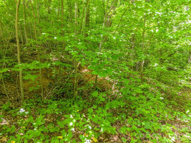 Lot 29 Matho Trace 29, Lake Lure, NC 28746