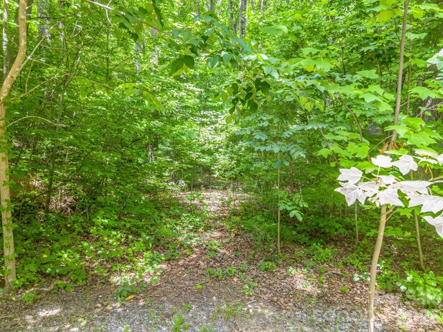 Lot 29 Matho Trace 29, Lake Lure, NC 28746