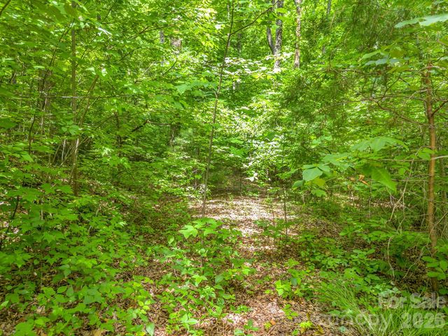 Lot 29 Matho Trace 29, Lake Lure, NC 28746