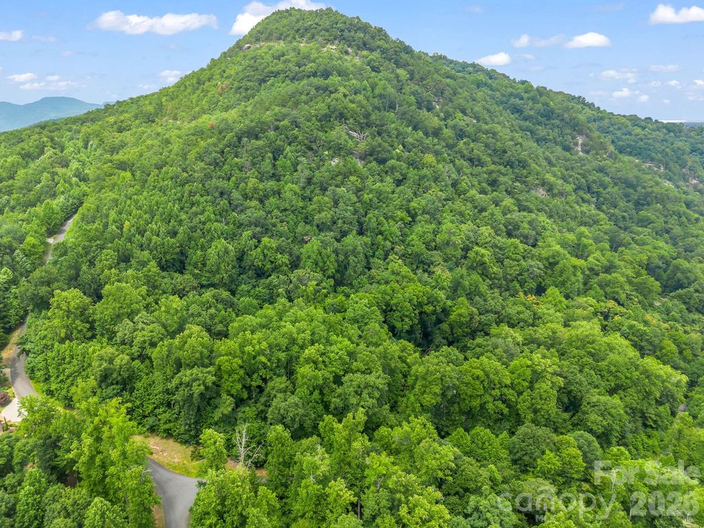 Lot 29 Matho Trace 29, Lake Lure, NC 28746