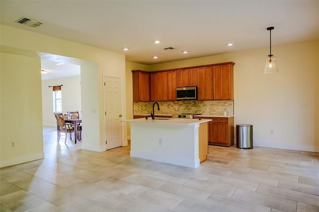 11735 MALVERNS LOOP, Orlando, FL 32832