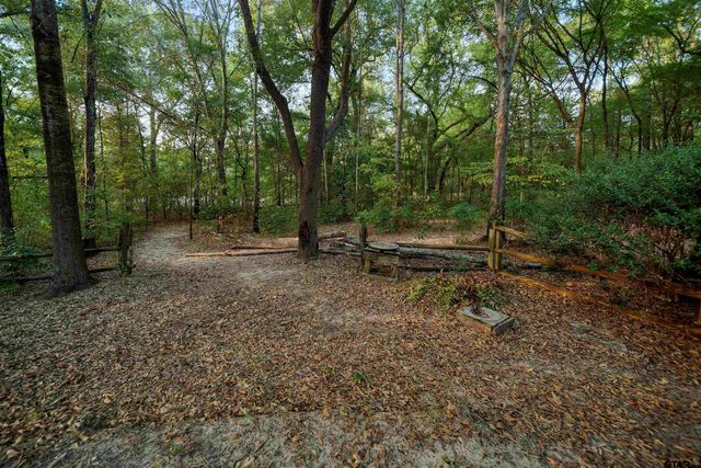 15236 Hillview Rd, Tyler, TX 75703