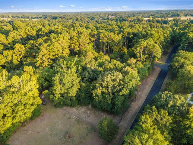 15236 Hillview Rd, Tyler, TX 75703