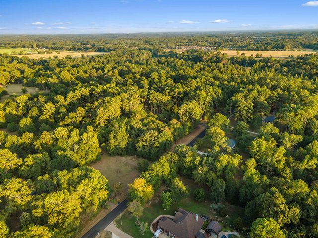 15236 Hillview Rd, Tyler, TX 75703