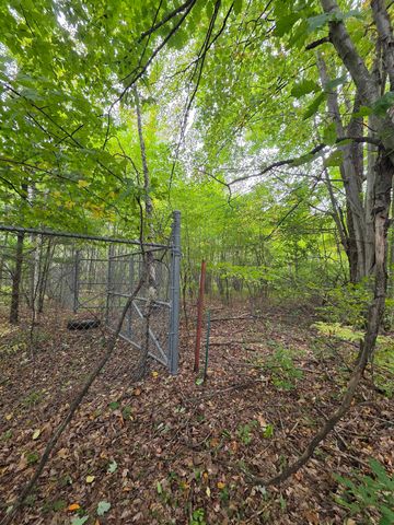 TBD S Chippewa, Mount Pleasant, MI 48858