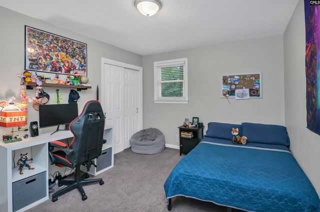 2305 Johnson Marina Road, Chapin, SC 29036