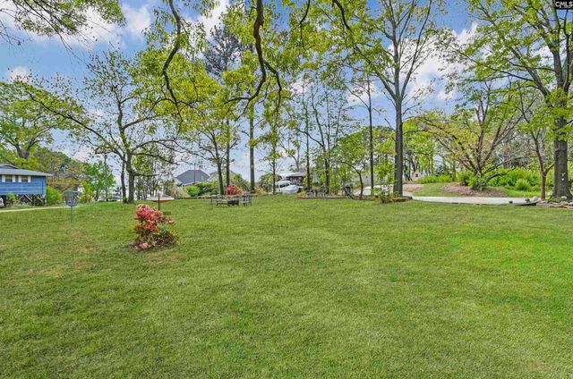 2305 Johnson Marina Road, Chapin, SC 29036