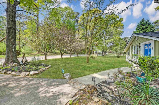 2305 Johnson Marina Road, Chapin, SC 29036