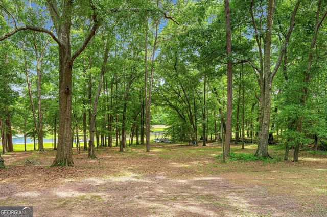 465 Water Oak Dell Drive, Lavonia, GA 30553