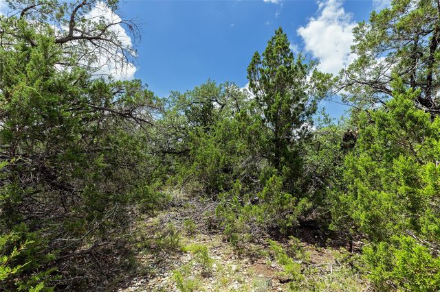 179 Shawnee TRL, Dripping Springs, TX 78620