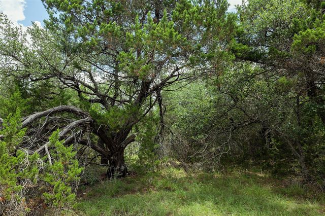 179 Shawnee TRL, Dripping Springs, TX 78620