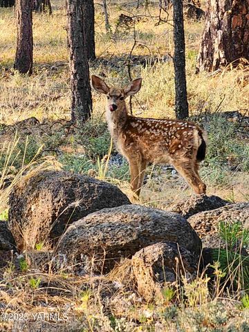 355 Tamarack, Goldendale, WA 98620