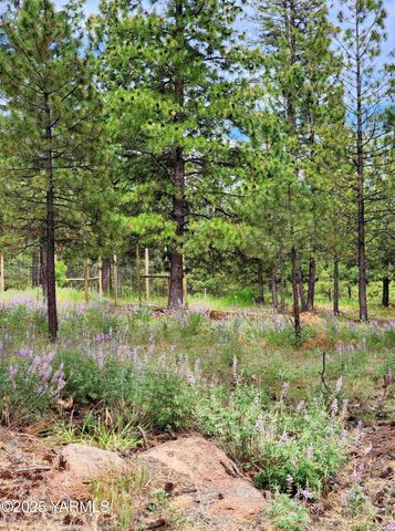 355 Tamarack, Goldendale, WA 98620