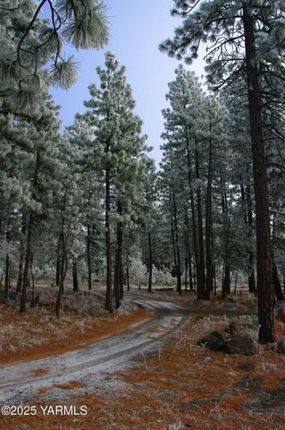 355 Tamarack, Goldendale, WA 98620