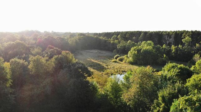 27230 Bayshore Drive, Isanti, MN 55040