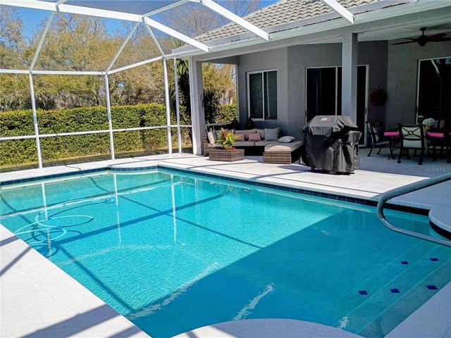 9657 VENTURI DRIVE, Trinity, FL 34655