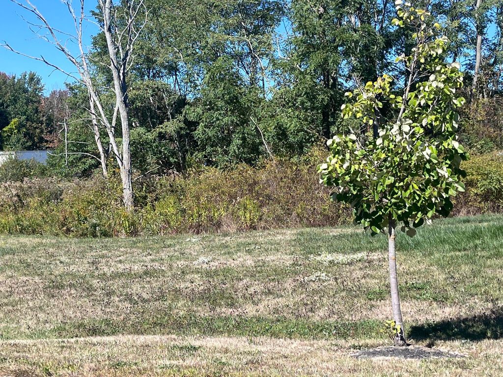 Lot 3 Clover Way, Falmouth, ME 04105 — photo 3