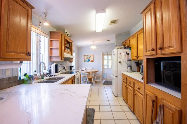 1735 DOROTHY BOULEVARD, Lutz, FL 33558