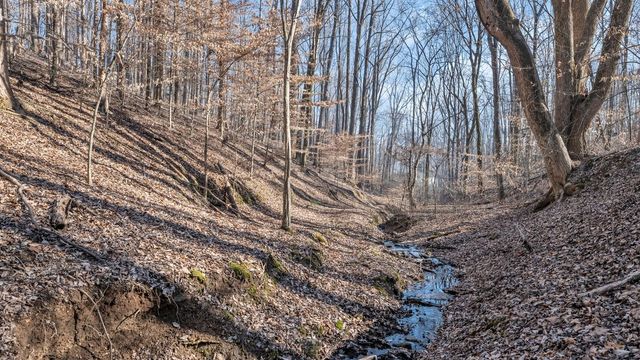 0 Damron Rd, Estill Springs, TN 37330