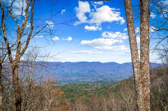 240 Mountain View Court, Ellijay, GA 30536