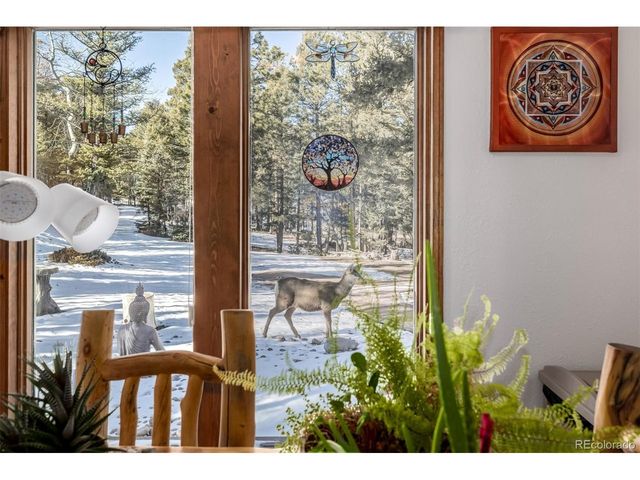 13202 Riley Peak Rd, Conifer, CO 80433