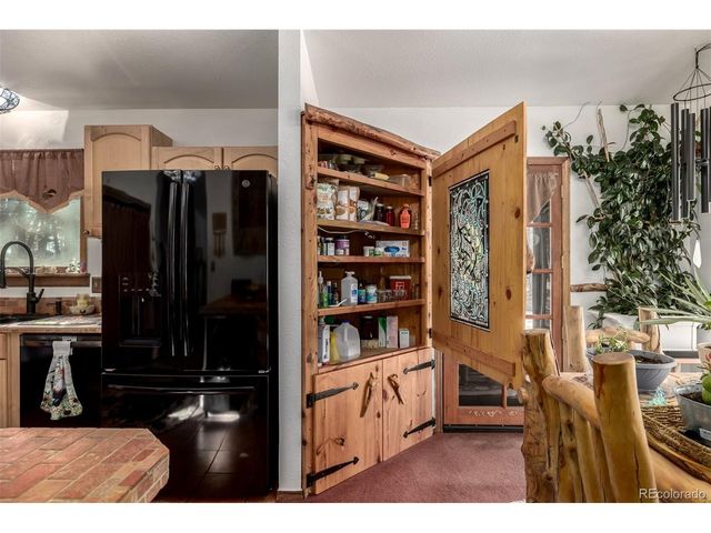 13202 Riley Peak Rd, Conifer, CO 80433