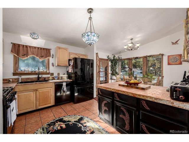 13202 Riley Peak Rd, Conifer, CO 80433