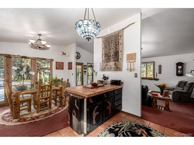 13202 Riley Peak Rd, Conifer, CO 80433