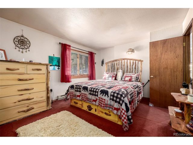 13202 Riley Peak Rd, Conifer, CO 80433