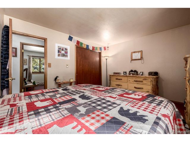 13202 Riley Peak Rd, Conifer, CO 80433