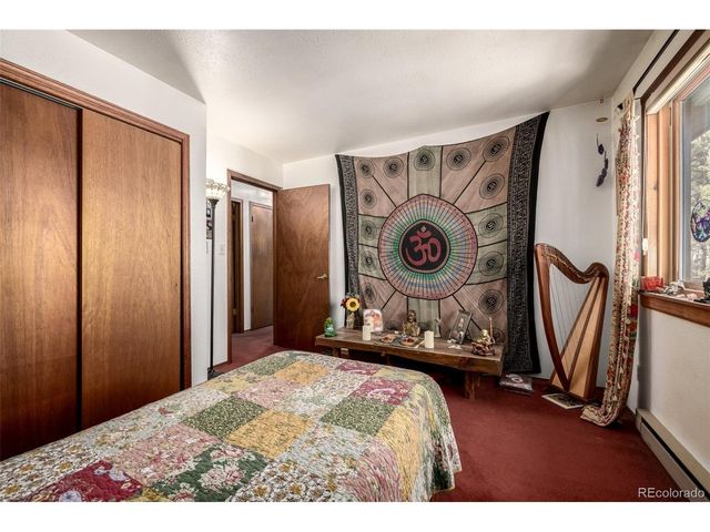 13202 Riley Peak Rd, Conifer, CO 80433