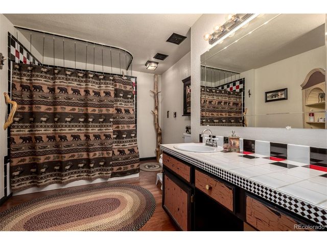 13202 Riley Peak Rd, Conifer, CO 80433