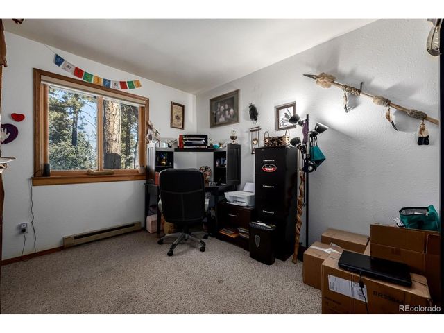 13202 Riley Peak Rd, Conifer, CO 80433