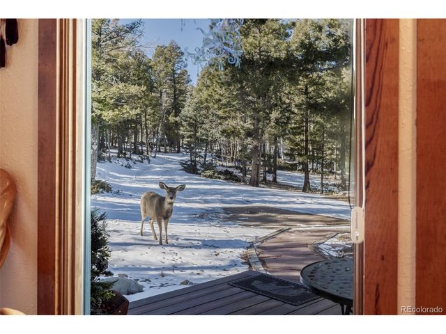 13202 Riley Peak Rd, Conifer, CO 80433