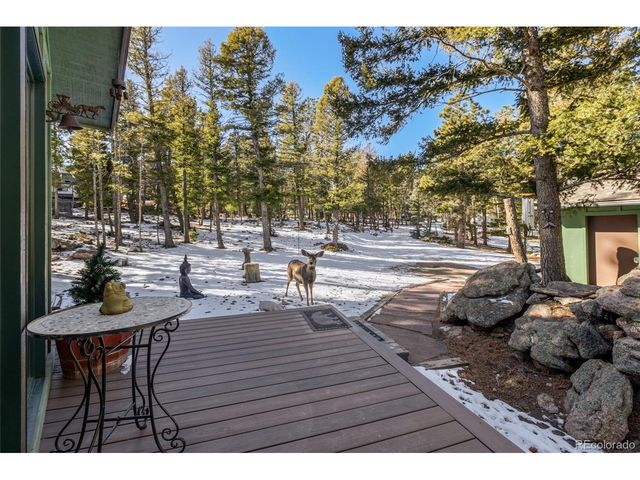 13202 Riley Peak Rd, Conifer, CO 80433