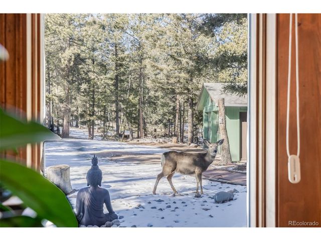 13202 Riley Peak Rd, Conifer, CO 80433