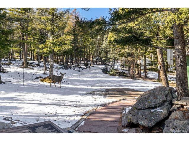 13202 Riley Peak Rd, Conifer, CO 80433