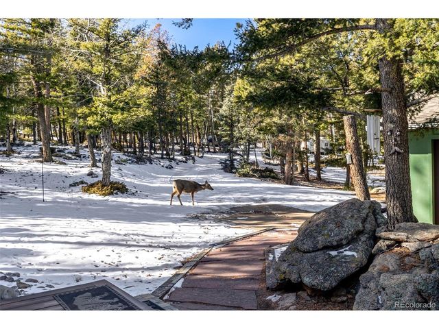 13202 Riley Peak Rd, Conifer, CO 80433