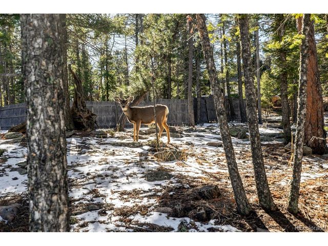 13202 Riley Peak Rd, Conifer, CO 80433