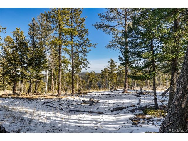 13202 Riley Peak Rd, Conifer, CO 80433