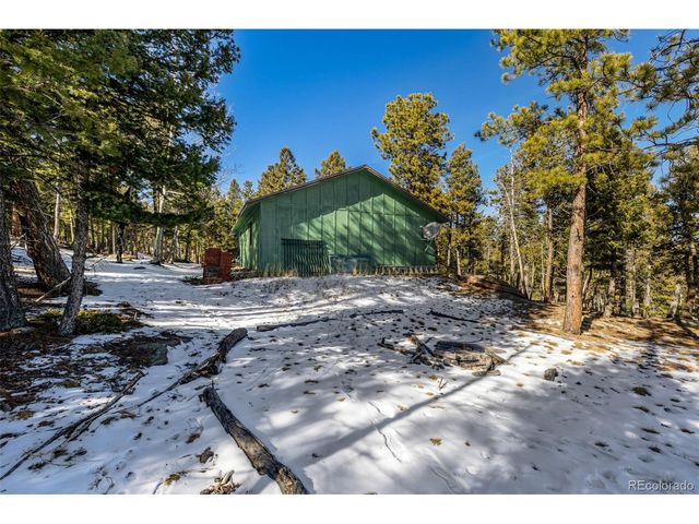 13202 Riley Peak Rd, Conifer, CO 80433