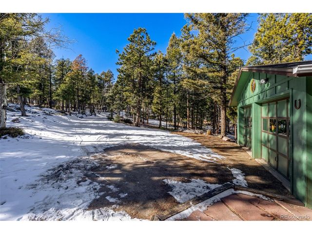 13202 Riley Peak Rd, Conifer, CO 80433