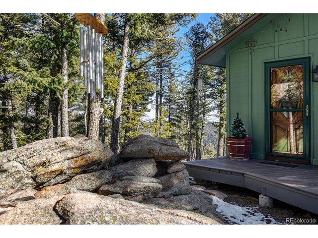 13202 Riley Peak Rd, Conifer, CO 80433