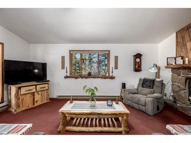 13202 Riley Peak Rd, Conifer, CO 80433