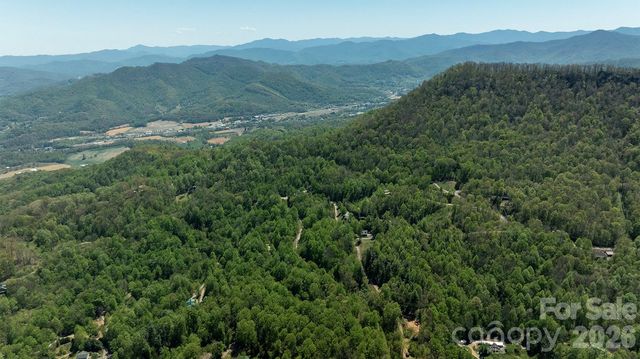 95 Lasso Lane, Waynesville, NC 28785