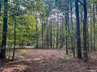 Tract Bb Sonny Dawes Road, Semora, NC 27343