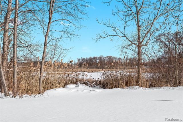 8709 Candlewood Trail 5, Brighton, MI 48116