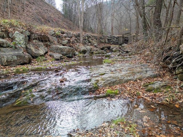 8122 Rich Patch RD, Covington, VA 24426